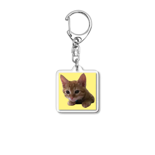 とらねこのリョウくん　ひょっこり Acrylic Key Chain