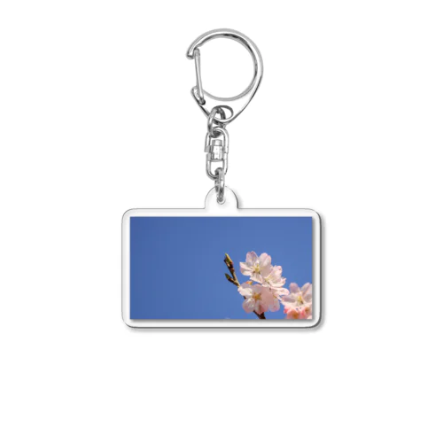 エリ蔵 桜 Acrylic Key Chain