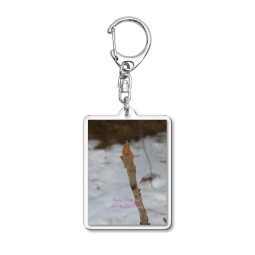 ヒーロー オニグルミ（縦用） Acrylic Key Chain