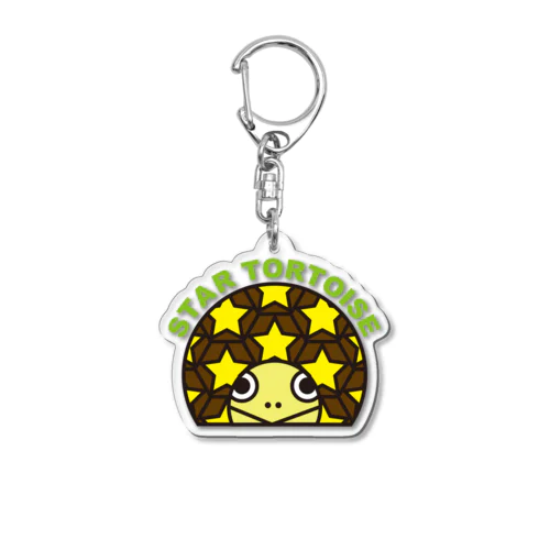 ホシガメ　カラー Acrylic Key Chain