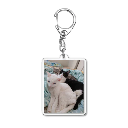 うちの猫3匹 Acrylic Key Chain