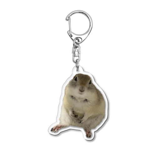 麦ちゃん Acrylic Key Chain