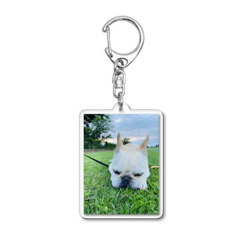 Biz the Frenchbulldog Acrylic Key Chain