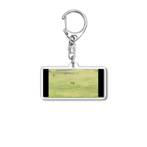 ゴルフの打ちっぱなし練習場に住まうネコ Acrylic Key Chain