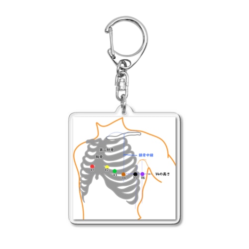 12誘導心電図電極装着部位アクスタ！ Acrylic Key Chain