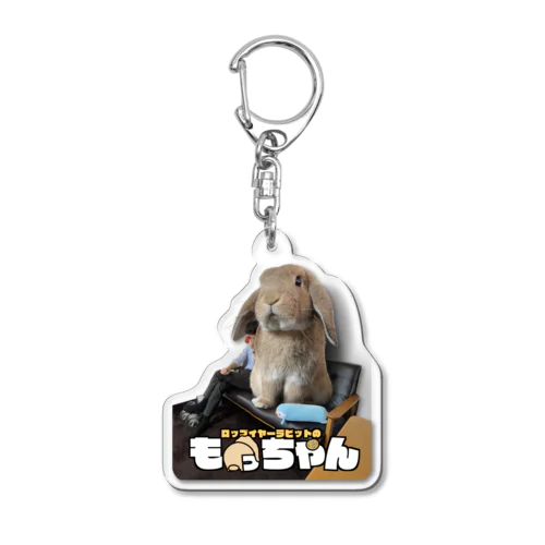 ＃巨大兎との生活　ロップイヤーラビットのもっちゃん Acrylic Key Chain