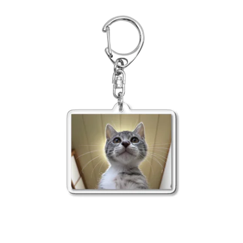 保護猫ベジータ　神 Acrylic Key Chain