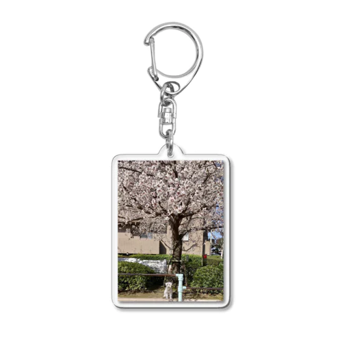 桜とワンコ Acrylic Key Chain