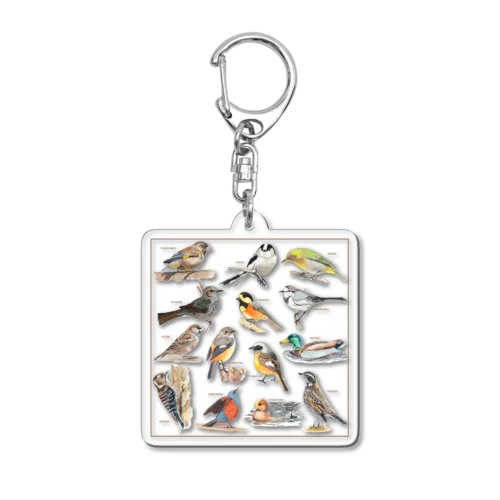 野鳥集合イラストB Acrylic Key Chain