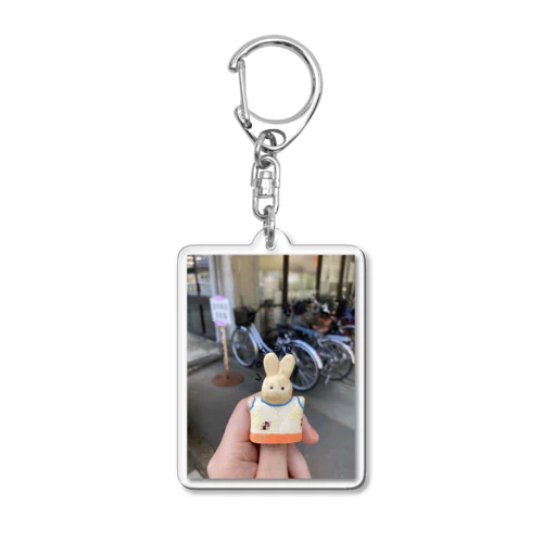 🗳🐇🚲 Acrylic Key Chain