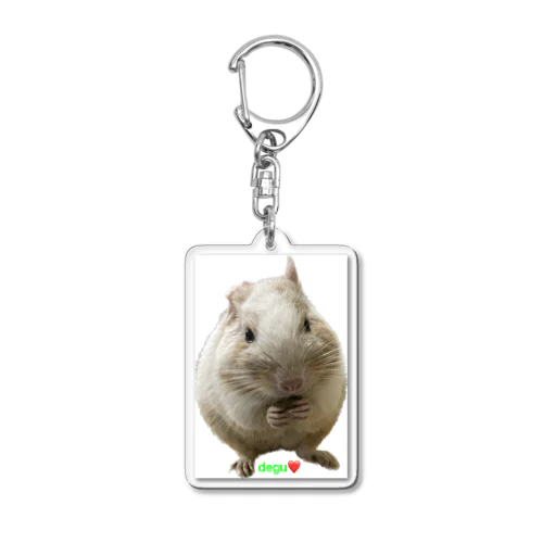 デグー　degu❤️ Acrylic Key Chain