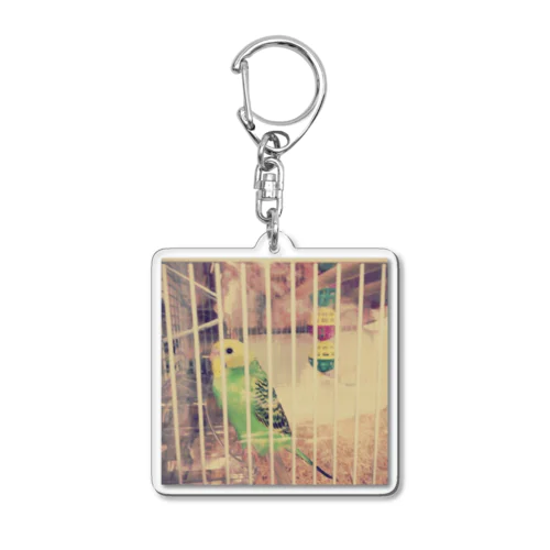 よちよちインコ Acrylic Key Chain