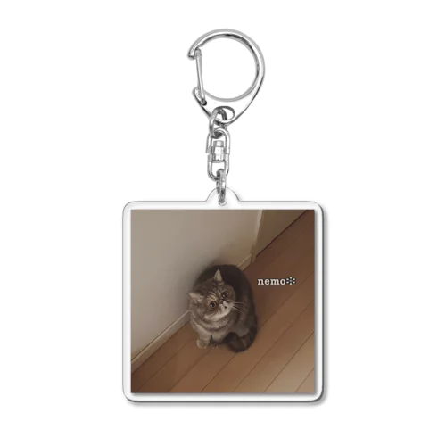 ネモちゃんアイテム Acrylic Key Chain