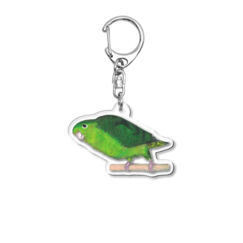 [森図鑑] サザナミインコ緑色 Acrylic Key Chain