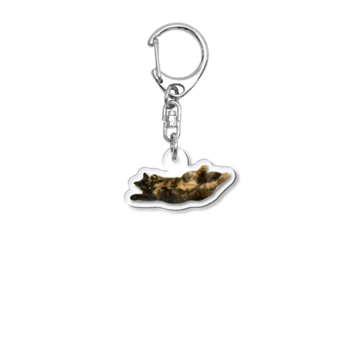 プニプニみうちゃん サビ猫 Acrylic Key Chain