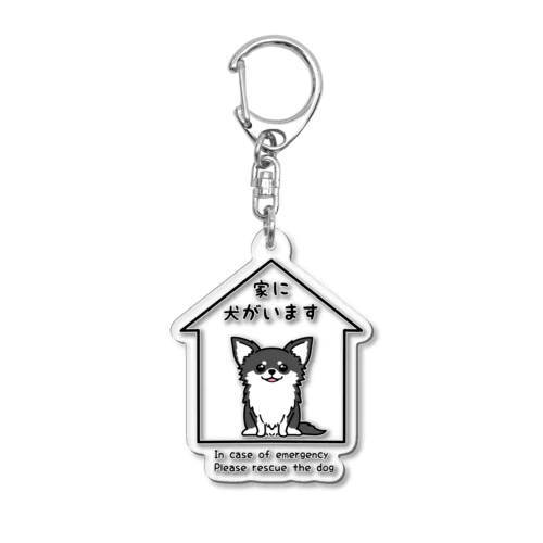 家にチワワ（黒タンロング）がいます Acrylic Key Chain