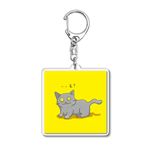 話を聞いてなかった猫ちゃん。 Acrylic Key Chain