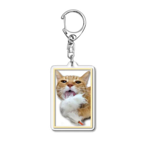 猫じゃらしなめてるどんくさ Acrylic Key Chain