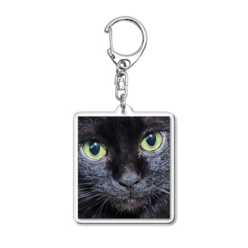 PrettyCat　ヤマト Acrylic Key Chain