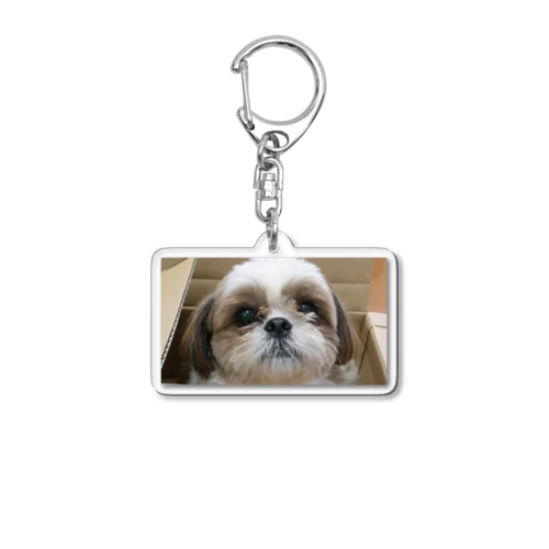 ふくちゃんと癒しのマグカップ Acrylic Key Chain