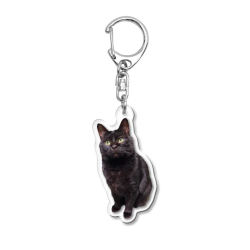 PrettyCat　ヤマト Acrylic Key Chain