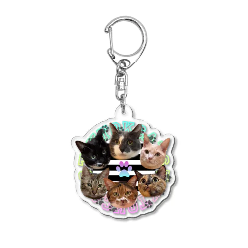 TikTok猫部アクリルキーホルダー Acrylic Key Chain