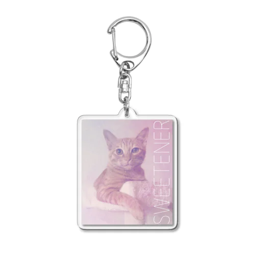 スイート Acrylic Key Chain