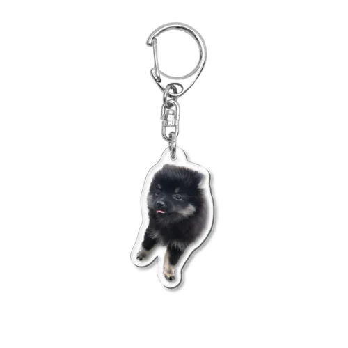 若犬 Acrylic Key Chain