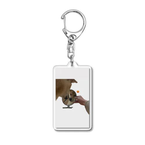 鏡にキレてる柴犬 Acrylic Key Chain