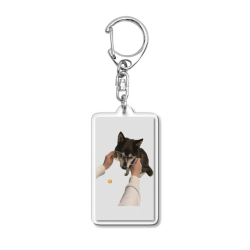 勉学に励む柴犬 Acrylic Key Chain