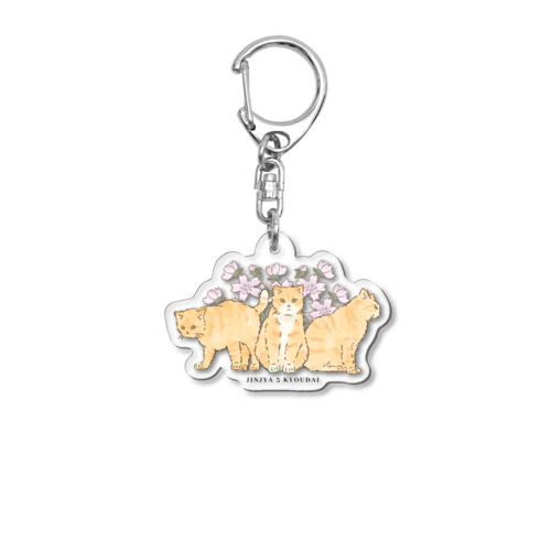 男木島猫ずかんアクキー(神社3兄弟) Acrylic Key Chain