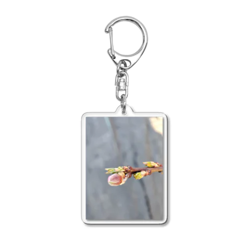 芽生え Acrylic Key Chain