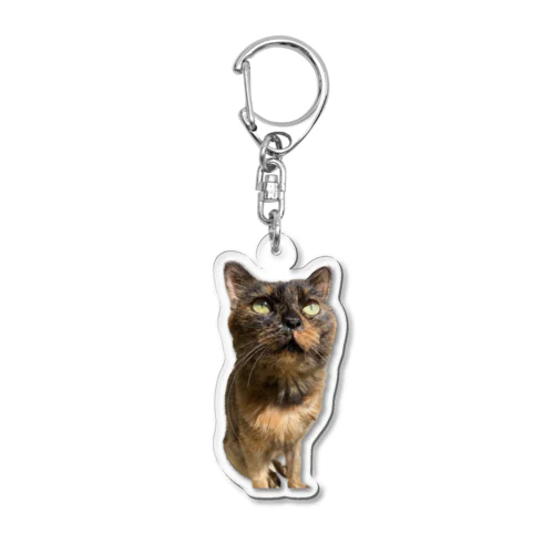 サビ猫みやびちゃん Acrylic Key Chain