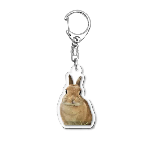 最新ウサグッズ Acrylic Key Chain