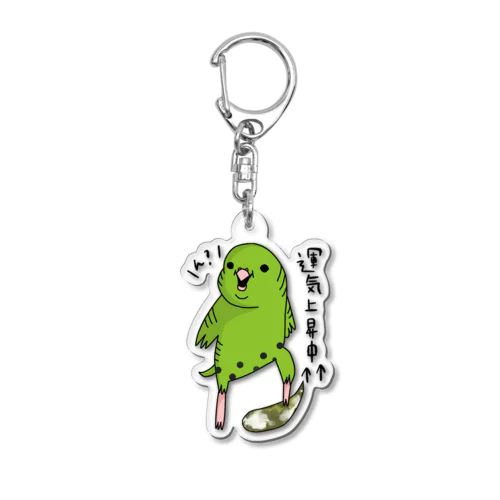 運気UP【サザナミグリーンでかふんこver】 Acrylic Key Chain