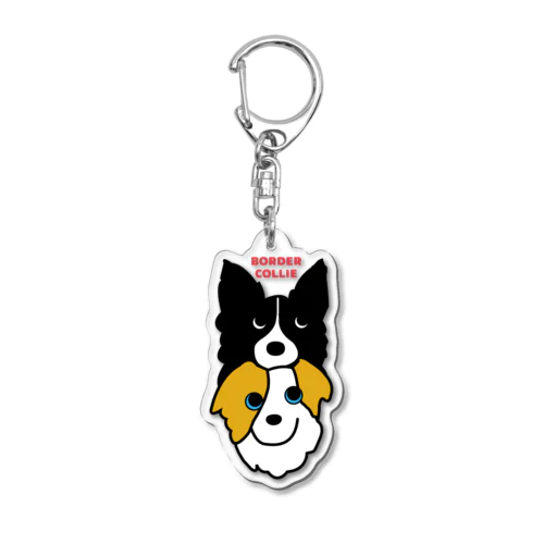 SLN-b Acrylic Key Chain