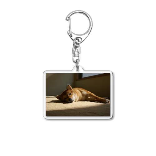 夕焼けの柴犬 Acrylic Key Chain