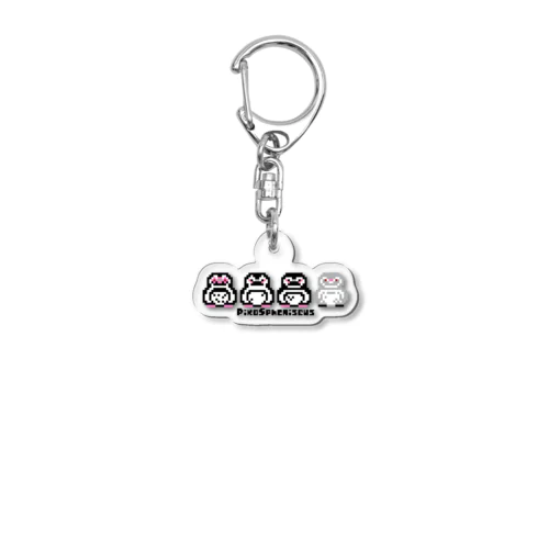 ピコスフェニスカス(よこ) Acrylic Key Chain