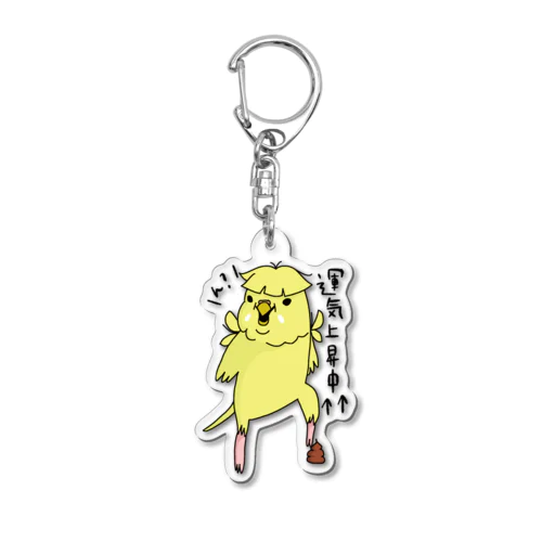 運気UP【羽衣セキセイインコ・ルチノー】 Acrylic Key Chain