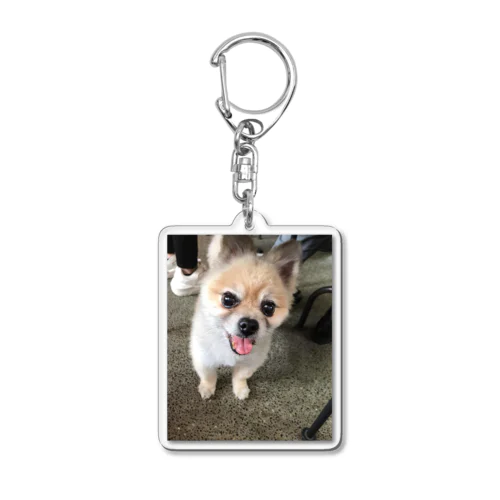 保護犬のふぅちゃん Acrylic Key Chain