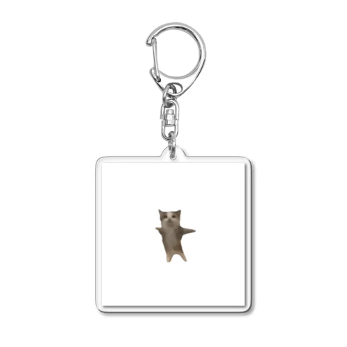 hapihapihapi Acrylic Key Chain