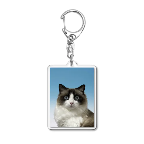 愛猫 Acrylic Key Chain