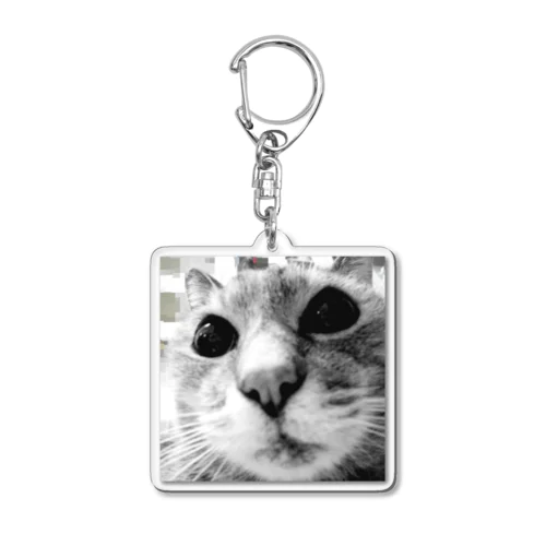 二代目猫 Acrylic Key Chain