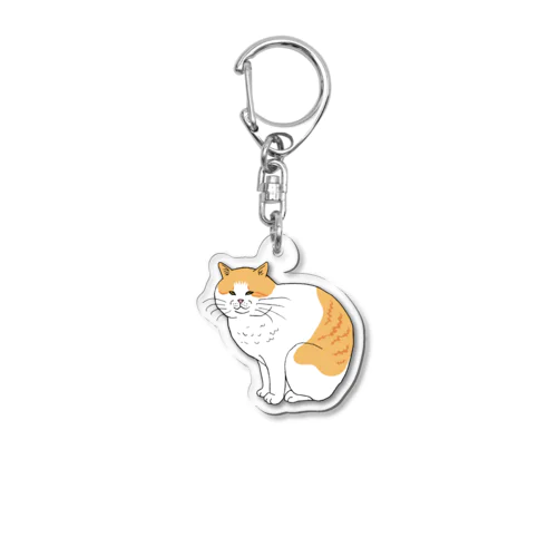 保護猫応援グッズ　team dosukoi Acrylic Key Chain