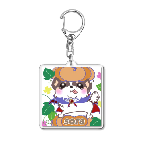 宇宙(sora)グッズ Acrylic Key Chain