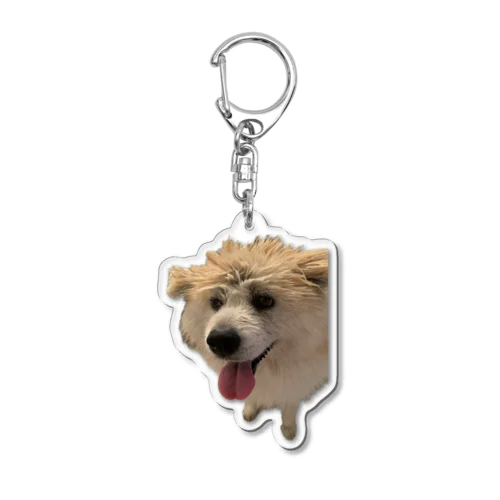 ほっそり秋田犬 Acrylic Key Chain