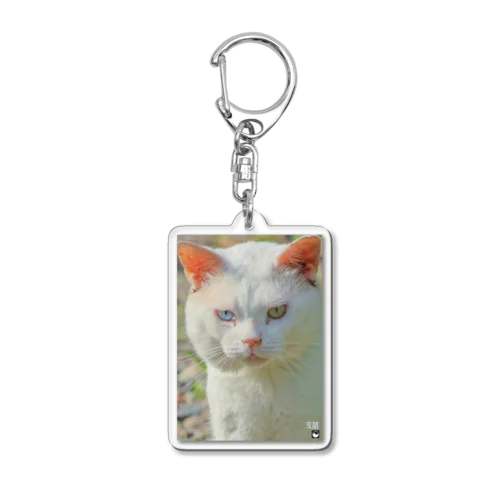 happy odd eye Acrylic Key Chain