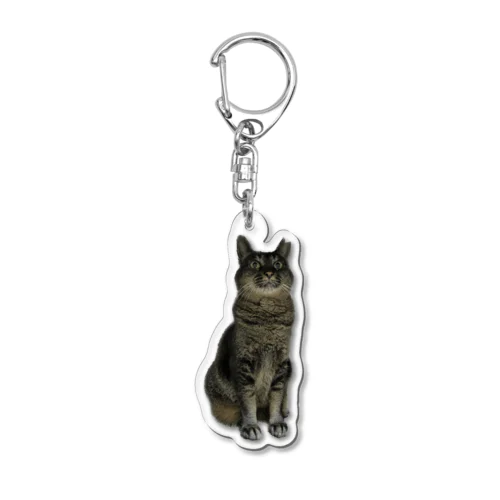 びっくり猫シリーズ Acrylic Key Chain