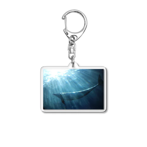 イルカ Acrylic Key Chain