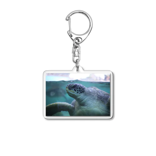 カメ Acrylic Key Chain